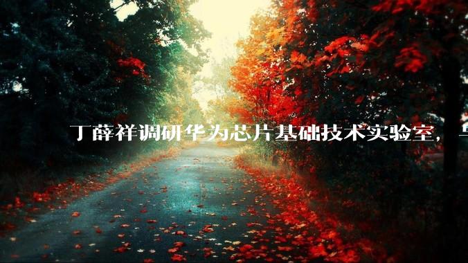 丁薛祥调研华为芯片基础技术实验室，与任正非交谈_研究_科技_秋湖