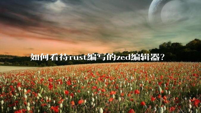 如何看待rust编写的zed编辑器？